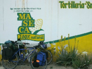 maseca tortilleria