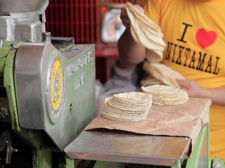 Discovering Fresh Tortillas in Puerto Escondido